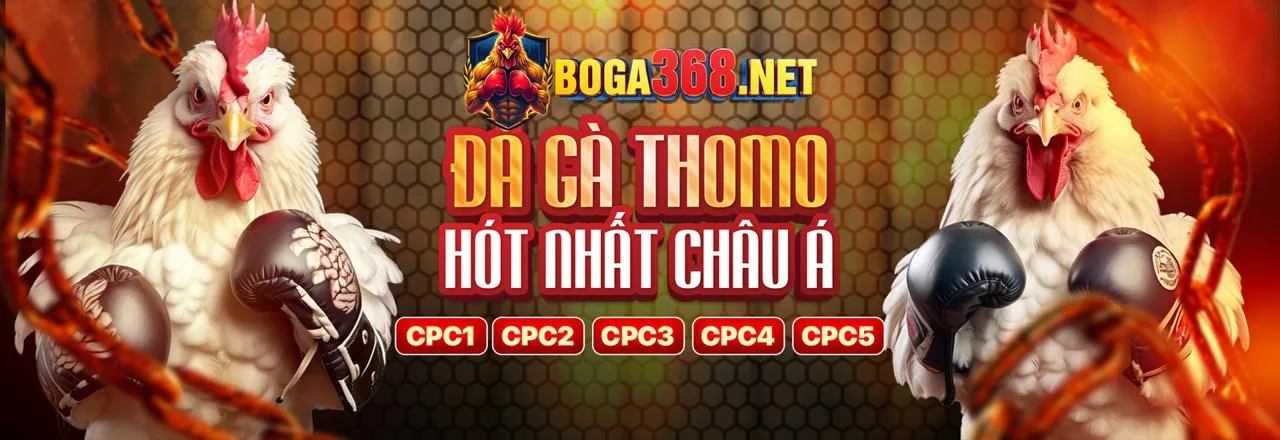 Đá Gà Trực Tiếp 888b hôm nay